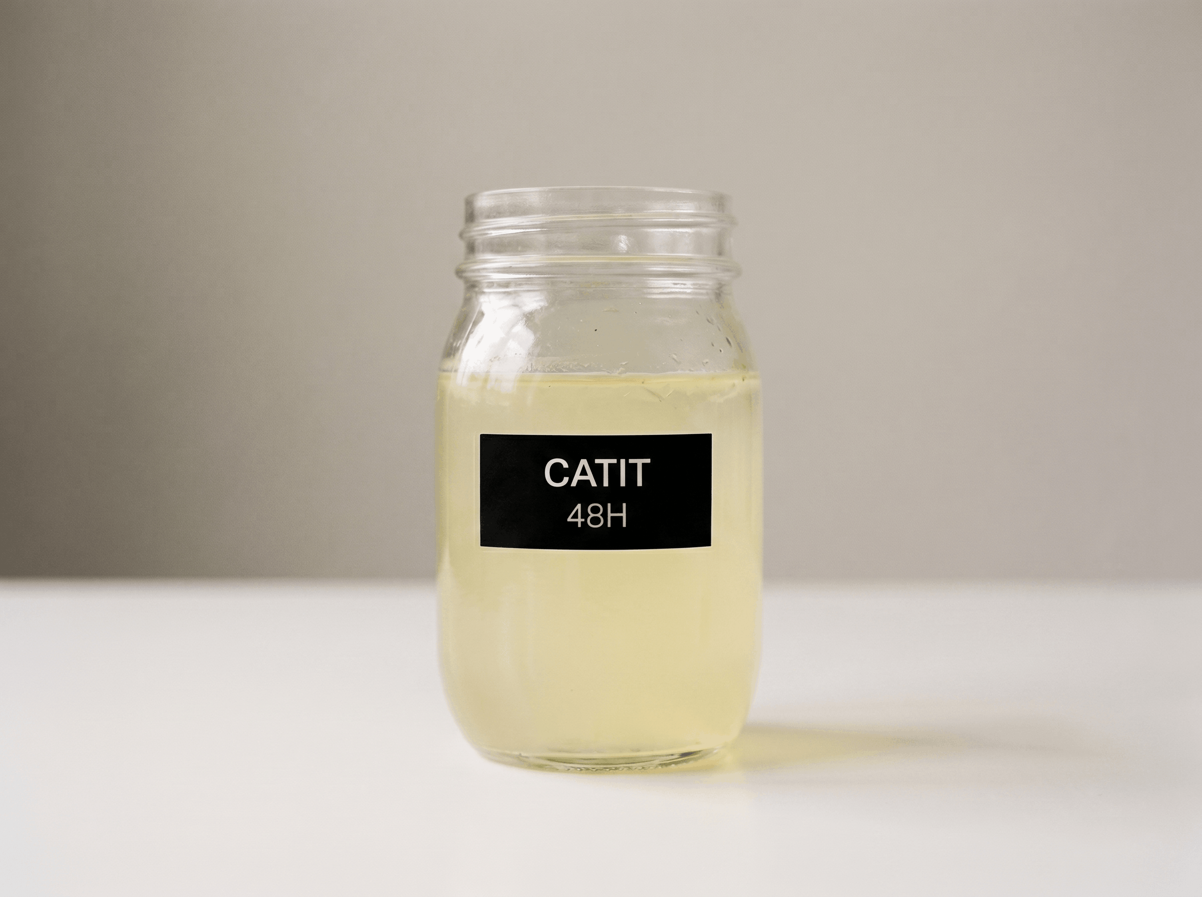 Jar of water poured from the Catit Flower fountain after 48 hours of normal home use — visibly cloudy with debris.